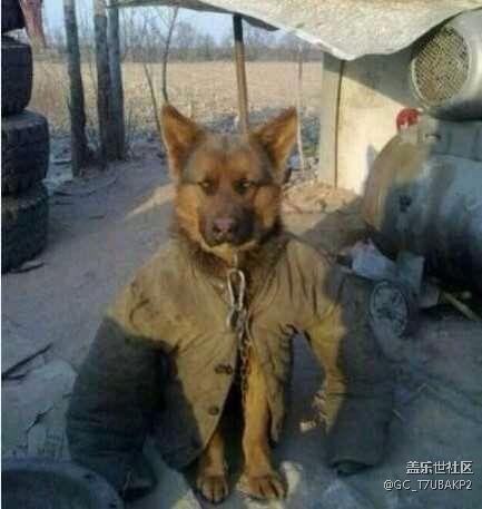 明天下午無(wú)線網(wǎng)已備好 坐等7.0