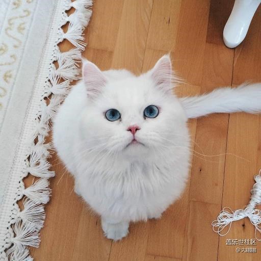 note5的語音控制問題