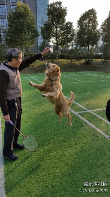 【S7內(nèi)測7.0的快充哪里去了？】