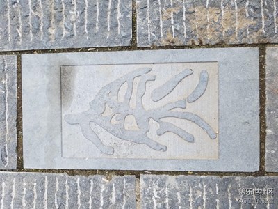 是不是“魚”呢