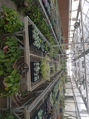 美吧