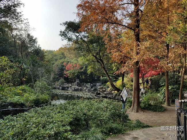 今天在中山公園拍一些照片，還想看看7.0對相機優(yōu)化
