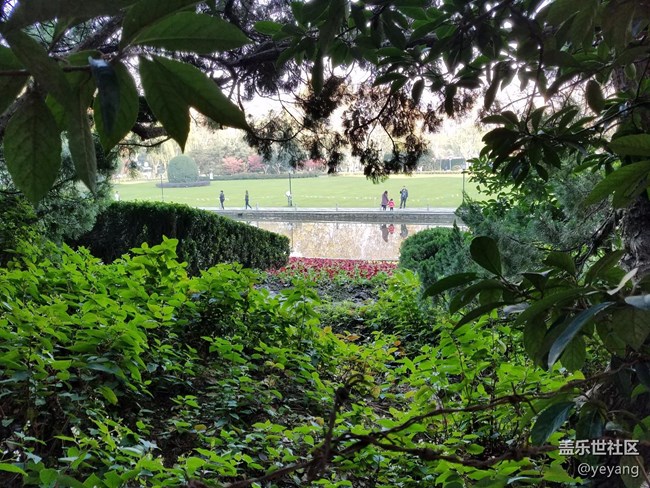 今天在中山公園拍一些照片，還想看看7.0對相機優(yōu)化