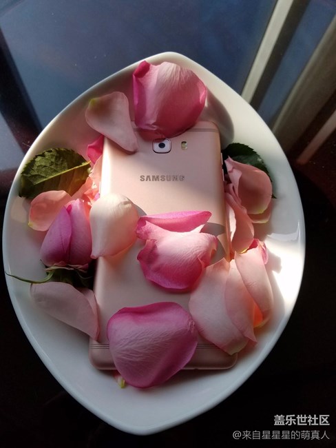 薔薇粉 C9 Pro---紅粉賜瓔珞，落花亦有情