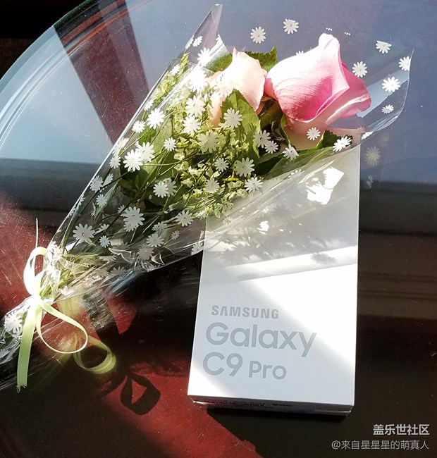 薔薇粉 C9 Pro---紅粉賜瓔珞，落花亦有情