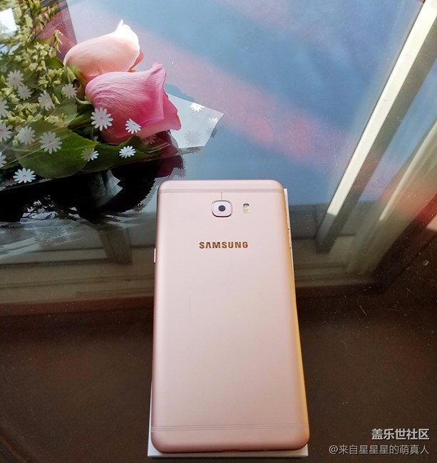 薔薇粉 C9 Pro---紅粉賜瓔珞，落花亦有情