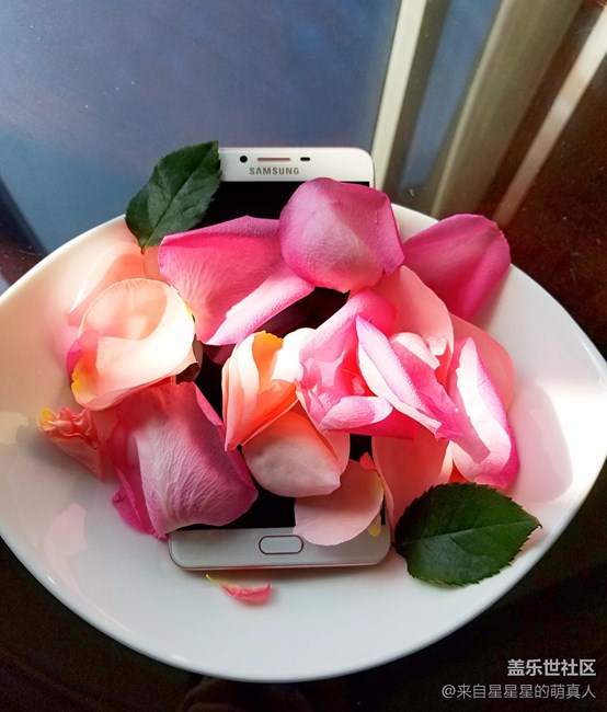 薔薇粉 C9 Pro---紅粉賜瓔珞，落花亦有情