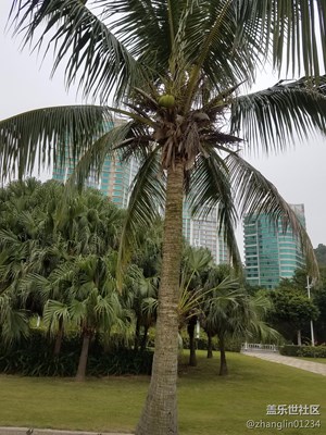 珠海街頭