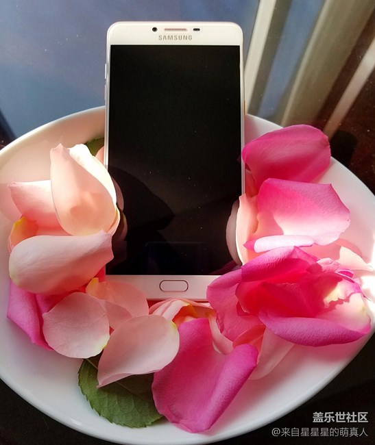 薔薇粉 C9 Pro---紅粉賜瓔珞，落花亦有情