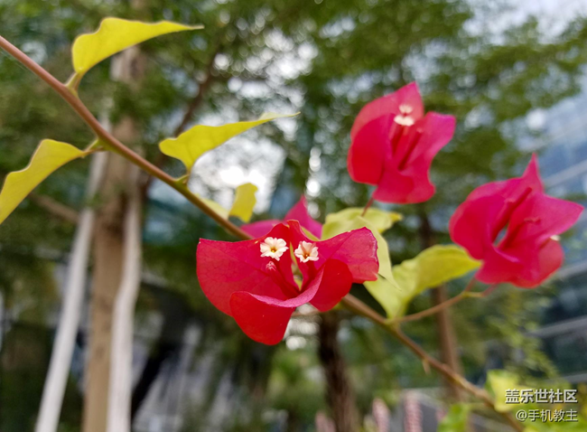 三星Galaxy C9 Pro ，年輕人必備的社交輕旗艦時(shí)尚單品