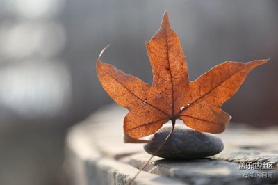 雖已入冬，但美景依在（以小見(jiàn)大）