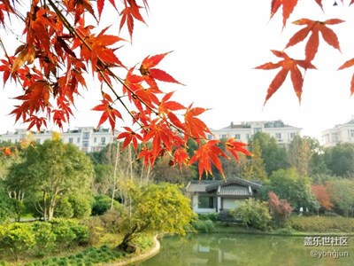 南江公園