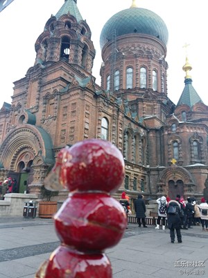 冰城人就是這么任性