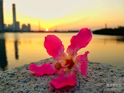 我在南方享受著暖陽，卻想著北方的雪景。