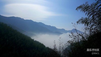 隨拍