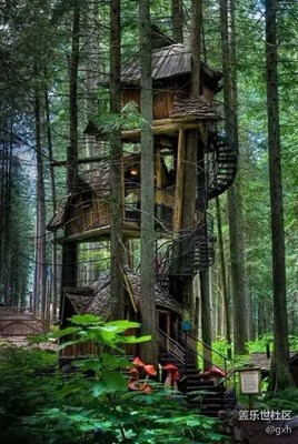 天吶，太美了！