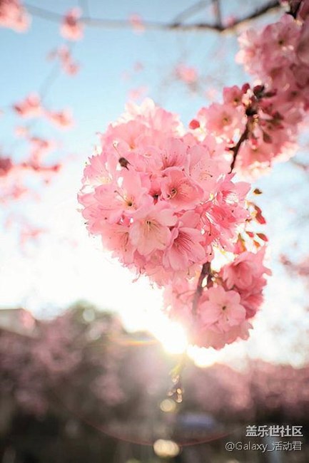 【星幣商城45期】與過去和解，對世界溫柔