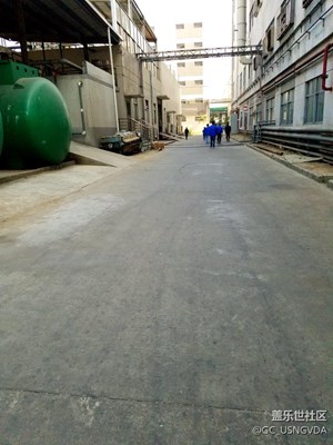 隨手拍的