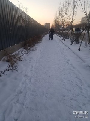 【圣誕狂歡】+沈陽+小情侶