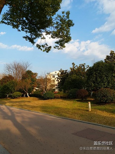 從C9薔薇粉的9個(gè)方面簡(jiǎn)單講講我的切實(shí)體驗(yàn)