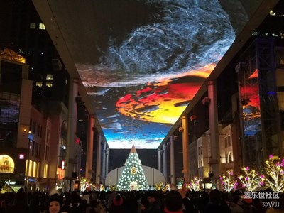 【圣誕狂歡】+北京+我來撒狗糧