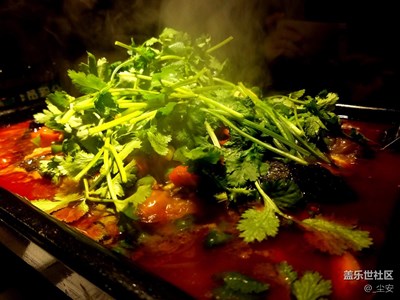 【圣誕狂歡】+虎門(mén)+無(wú)辣不歡