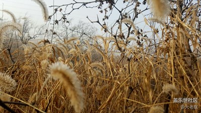 霧霾天氣深山見(jiàn)