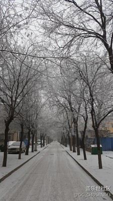 新年的第一場雪