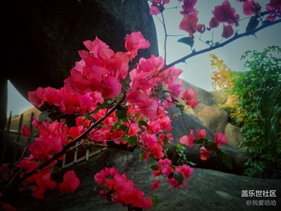 【冬天的顏色】+廈門+七彩廈門