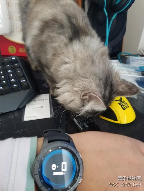 【用科技智造時間】我家貓咪對我表比我還急