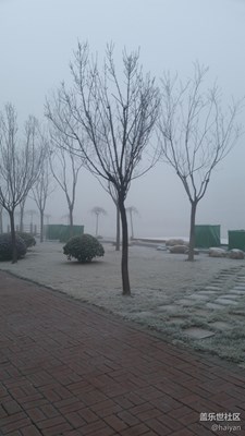 【冬天的顏色】+天津+冬日見聞