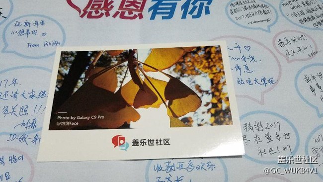 感恩節(jié)明信片到了，謝謝