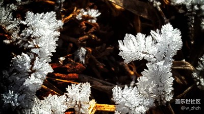 家鄉(xiāng)的冬天有*！（mengliao)