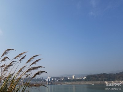 可以做壁紙的圖片