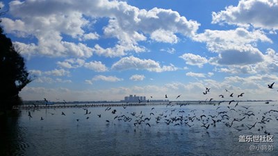 彩云之南，云南的云。