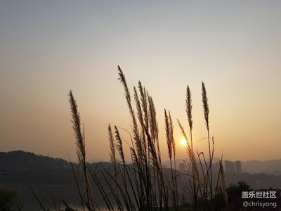 夕陽