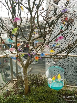 【家鄉(xiāng)美】+成都+第二故鄉(xiāng) 美食，霧霾，火鍋 with 三星A8