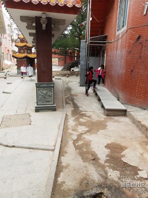 鋼管舞年輕化了嗎？