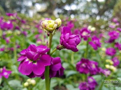 這是以前拍的照片