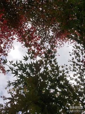 【家鄉(xiāng)美】+鎮(zhèn)江+江南小城