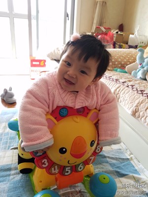 1月21日每日一圖