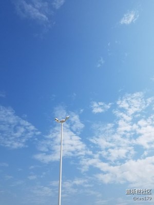 艷陽天