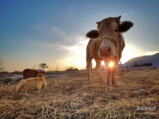 每周精帖匯【第40期：拒絕年后綜合癥 新年新機才是正經(jīng)事】