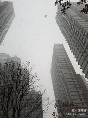 下雪
