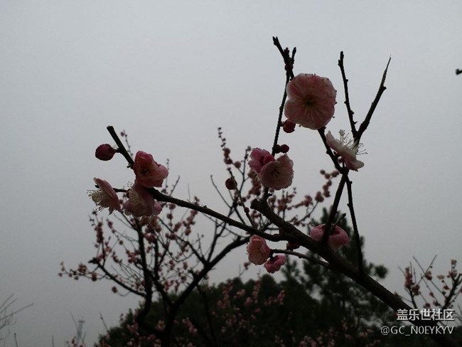 升級(jí)后相機(jī)