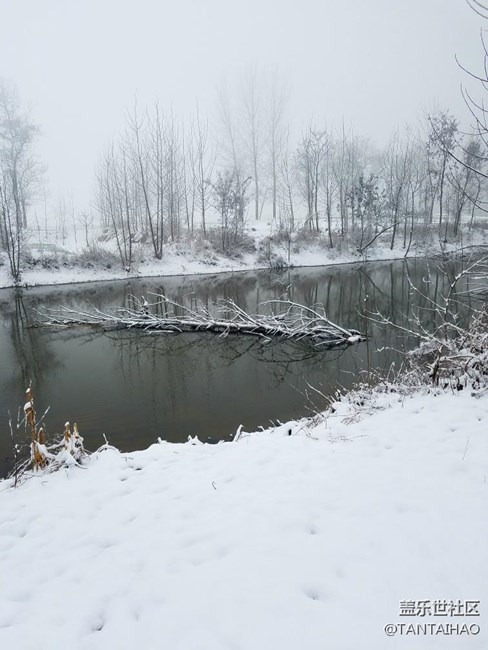 這個冬天，你們那里下雪了嗎
