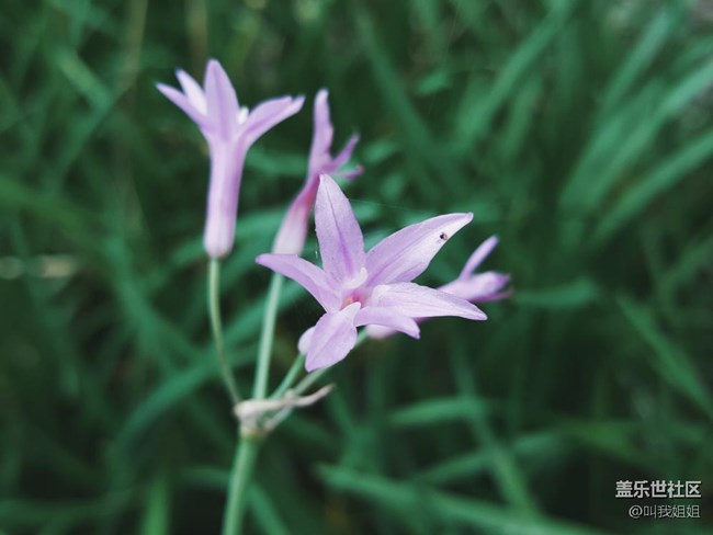 每周精帖匯【第40期：拒絕年后綜合癥 新年新機才是正經(jīng)事】