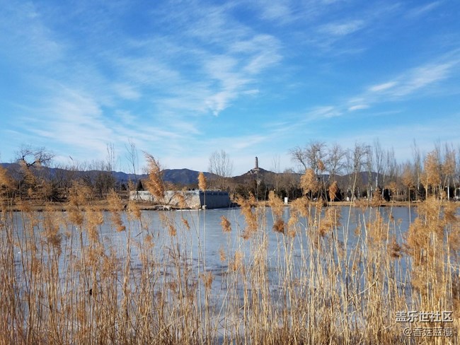 不用天天盯著升級，帶著手機看看外面的風景吧