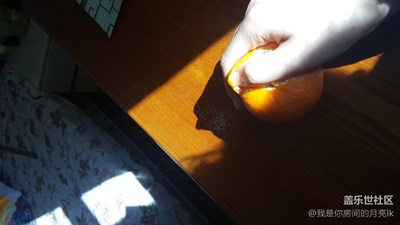 【家就在心中】與陽光共舞