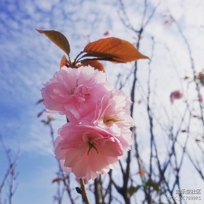 S7E拍攝，Instagram濾鏡